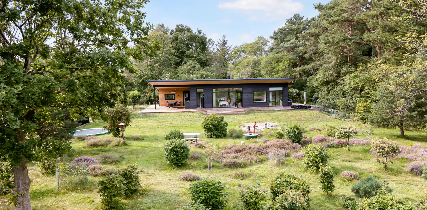 Ferienhaus Direkt Am Strand Für Einen Urlaub Mit Hund In Holland